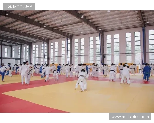地方特色柔道发展模式及经验交流互鉴路径探讨 地方特色柔道发展模式及经验交流互鉴路径探讨