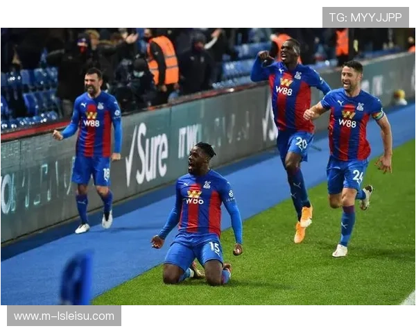 埃弗顿伤兵满营,客场对阵小蜜蜂难取三分 埃弗顿伤兵满营,客场对阵小蜜蜂难取三分